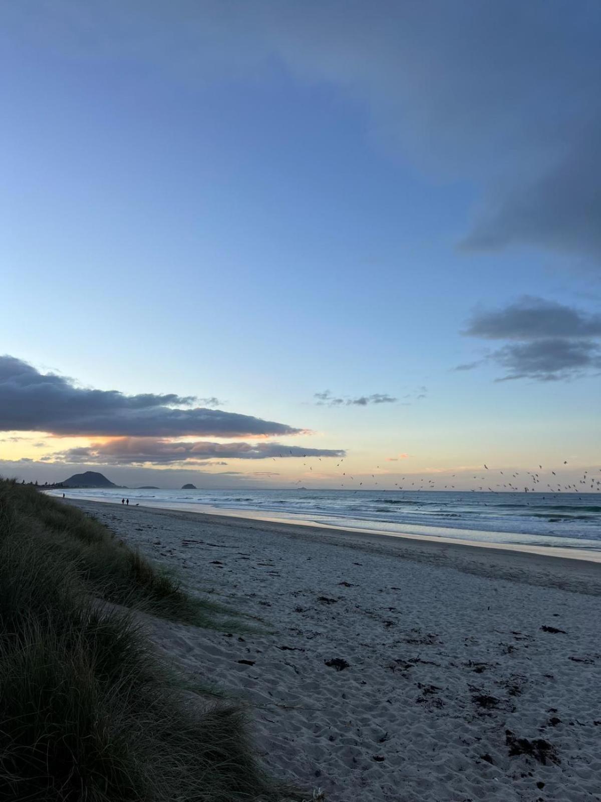 Papamoa Beach, Pohutukawa Deluxe Studio, On Hugoway Eksteriør billede